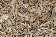 biomass boilers Rushmere